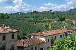 Le case di Vinci e le colline toscane coltivate dei dintorni - © Rudi Vandeputte / Shutterstock.com
