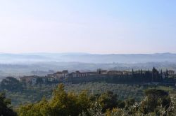 Le colline a nord del borgo di Malmantile in Toscana - © Pufui PcPifpef - CC BY-SA 4.0, Wikipedia