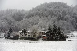 Le colline di Garbagna dopo una nevicata in inverno. Siamo in provincia di Alessandria, in Piemonte - © Paolo Bona / Shutterstock.com