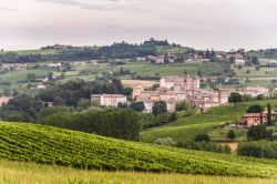 Le colline in Astesana, nel territorio di Costigliole in Piemonte