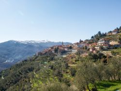 Le colline intorno a Diano Castello e sullo sfondo le Alpi Marittime. Siamo in Liguria, provincia di Imperia