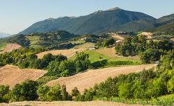 Le colline intorno a Fabriano fotografate in estate