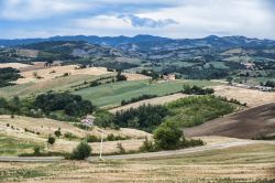Le colline intorno a Guiglia in Emilia-Romagna