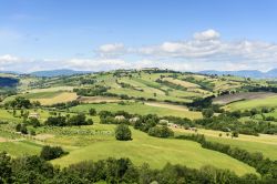 Le colline intorno ad Urbisaglia, borgo delle Marche