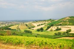 Le colline romagnole che circondano Santarcangelo di Romagna