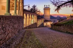 Le colonne del castello di Udine illuminate di notte, Friuli Venezia Giulia. La strada che fiancheggia la fortezza è ciottolata.



