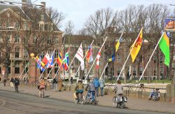 Le dodici bandiere delle province olandesi e la bandiera di Den Haag al Hofvijver, Olanda - © Nancy Beijersbergen / Shutterstock.com