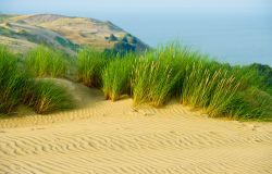 Le dune di sabbia a sud del villaggio di Nida, Lituania. Siamo nella principale località turistica della penisola dei Curoni, l'oasi naturalistica più affascinante della Lituania ...