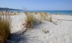 Le dune di sabbia che fiancheggiano la spiaggia di Is Arenas vicino a Cuglieri in Sardegna
