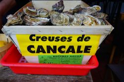 Le famose ostriche di Cancale, villaggio di pescatori del nord della Francia in Bretagna. - © EQRoy / Shutterstock.com