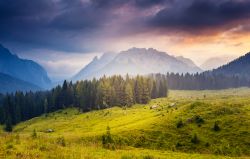 Le montagne della Carnia nei dintorni di Sauris in Friuli - © Creative Travel Projects / Shutterstock.com