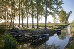 Le paludi di Fucecchio, ideali per birdwatching