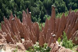 Le particolari piramidi di Renon guglie di terra vicino a Bolzano- © haraldmuc / Shutterstock.com