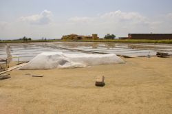 Le saline della Provincia di Ravenna sono famose per la produzione del sale "dolce" di Cervia, dal sapore profumato non eccessivamente saporito, che lo rendono molto indicato per l'uso ...