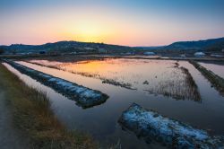 Le Saline di Strunjan (Strugnano) in Slovenia, fotografate prima dell'alba