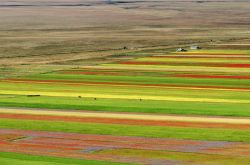 Le sfumature di Piano Grande di Castelluccio, Umbria, Italia. Questo territorio umbro offre paesaggi suggestivi in ogni periodo dell'anno ma durante i mesi della fioritura una visita è ...