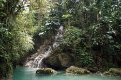 Le Somerset Falls a Port Antonio, Giamaica. Si trovano a circa 3 km a est di Hope Bay, nascoste in una gola profonda fra felci e alta vegetazione.
