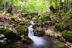 Le sorgenti della Valle Jannanghera vicino a Civitella Alfedena, nel Parco Nazionale d'Abruzzo, Lazio e Molise