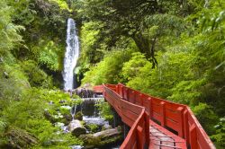 Le sorgenti naturali Termas Geometricas nei pressi della città di Conaripe, Pucon, Cile.
