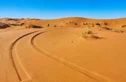 Le tracce degli pneumatici di un fuoristrada sulle dune di Douz, Tunisia. Questa graziosa cittadina della Tunisia viene chiamata anche "porta del Sahara". 

