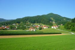Le verdi campagne di Lasko in estate: siamo in Slovenia