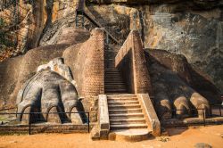 La scalinata che inizia presso le Lion's Paws, le enormi zampe di leone scolpite nella roccia su uno spiazzo della Lion Rock, dove sorge la fortezza di Sigiriya (Sri Lanka).