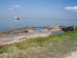 L'Isola di Albarella al largo della costa ...