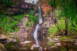 Litchfield, parco Nazionale: le Tjaynera Falls del torrente Sandy Creek, raggiungibili con un fuoristrada ed un sentiere a piedi