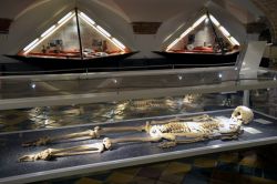 Lo scheletro di un uomo antico al Museo Archeologico di Haarlem, Olanda - © Primi2 / Shutterstock.com