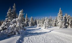 Lo ski resort di Rogla a Pohorje, Slovenia. In inverno Rogla è una delle tante località slovene dedicate allo sci e alle attività sciistiche. Soprattutto per gli appassionati ...