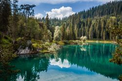 Lo spendido lago di Cauma nei pressi di Flims, Svizzera. Alimentato da sorgenti sotterranee calde, questo lago, il cui nome significa "lago del riposo pomeridiano", sorge a 997 metri ...