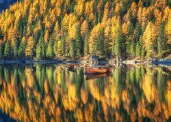 Lo spettacolo del Foliage sul lago di Braies in Autunno, Alto Adige