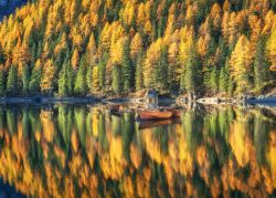 Lo spettacolo del Foliage sul lago di Braies ...