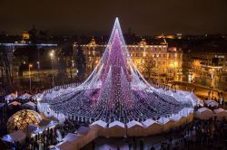 Lo splendido albero di Natale di Vilnius (Lituania) illuminato da 70.000 lampadine e decorato con 900 giocattoli di Natale. - © Saulius Ziura