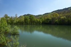 Lo stagno presso il Monte Orfano di Rovato, provincia di Brescia