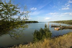 Località Madonnina vicino a Lido di Volano. Parco Regionale del Delta del Po