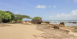 L'Oceano Indiano lambisce le coste dell'isola di Manda, Kenya: avvolto da fitte foreste di mangrovie, questo litorale offre panorami mozzafiato.

