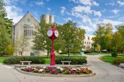 L'orologio del campus della University of Indiana a Bloomington, Indiana - © Ken Wolter / Shutterstock.com