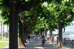 Lugano passeggiata lungo il lago