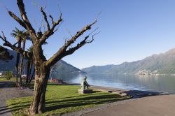 Lungolago di Ascona, Svizzera. Situata a 196 metri sul livello del mare, sulla riva settentrionale del Lago Maggiore, Ascona è famosa per il suo centro storico, il clima mite e il lungolago ...