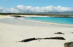 La magica spiaggia di Cerro Brujo si trova sull'isola San Cristobal nell'arcipelago delle Galapagos. Il bianco della sabbia, lambita da acque cristalline e impreziosita da formazioni ...