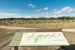 Mappa del sito megalitico nei pressi del villaggio di Carnac, Francia. Qui troviamo una delle più alte concentrazioni di pietre erette del mondo: sono circa 3 mila e disegnano file di ...