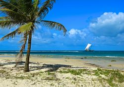 La costa indiana del Kenya a Diani Beach - Diani ...