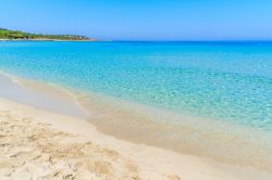 Mare azzurro a Saleccia vicino a Saint Florent, Corsica, Francia. Sabbia quasi bianca e acque dai fondali cristallini per questa località della Corsica che ha spiagge che non hanno nulla ...