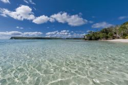 Il mare cristallino, ideale per snorkeling. è una merce comune tra le isole dell'arcipelago di Tonga - © Andrea Izzotti / Shutterstock.com