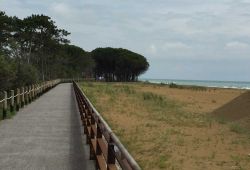 Mare e pineta di Bibione, tutti da esplorare in bicicletta, grazie all'anello ciclo pedonabile che circonda la città costiera del Veneto