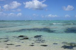 Mare nei dintorni di Mahebourg, isola di Mauritius - Le acque turchesi che circondano questo paradiso a sud di Mauritius © Pack-Shot / Shutterstock.com