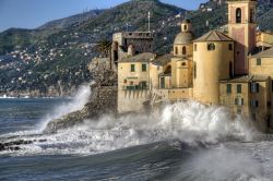 Lo spettacolo delle onde del Mar Ligure che si infrangono sulle mura di Santa Maria Assunta, Camogli - la Basilica di Santa Maria Assunta, tra i più grandi e importanti edifici religiosi ...