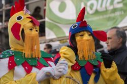 Maschere colorate del carnevale di Loulé, Portogallo - © Mauro Rodrigues / Shutterstock.com