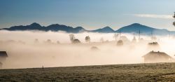 Mattinata nebbiosa sulla brughiera di Murnau am Staffelsee, Germania.

